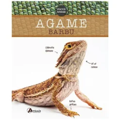 ÉDITIONS ARTEMIS Agame Barbu. Editions Artemis