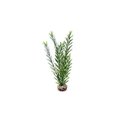 LABEO Algue haute verte en plastique 33 cm