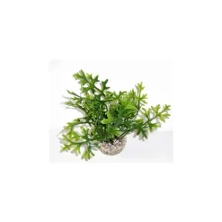 LABEO Algue verte en plastique petit modèle 13 cm