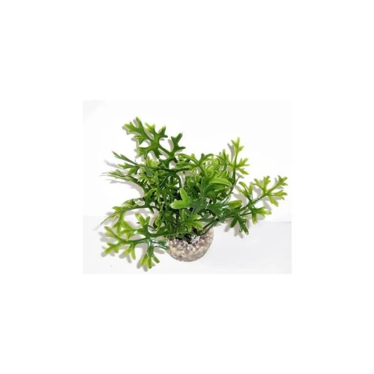 LABEO Algue verte en plastique petit modèle 13 cm