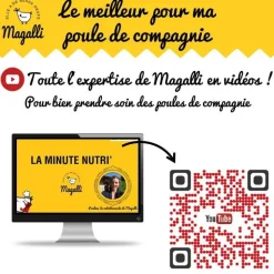 MAGALLI Aliment complet pour poule pondeuse en sac jaune de 8 kg