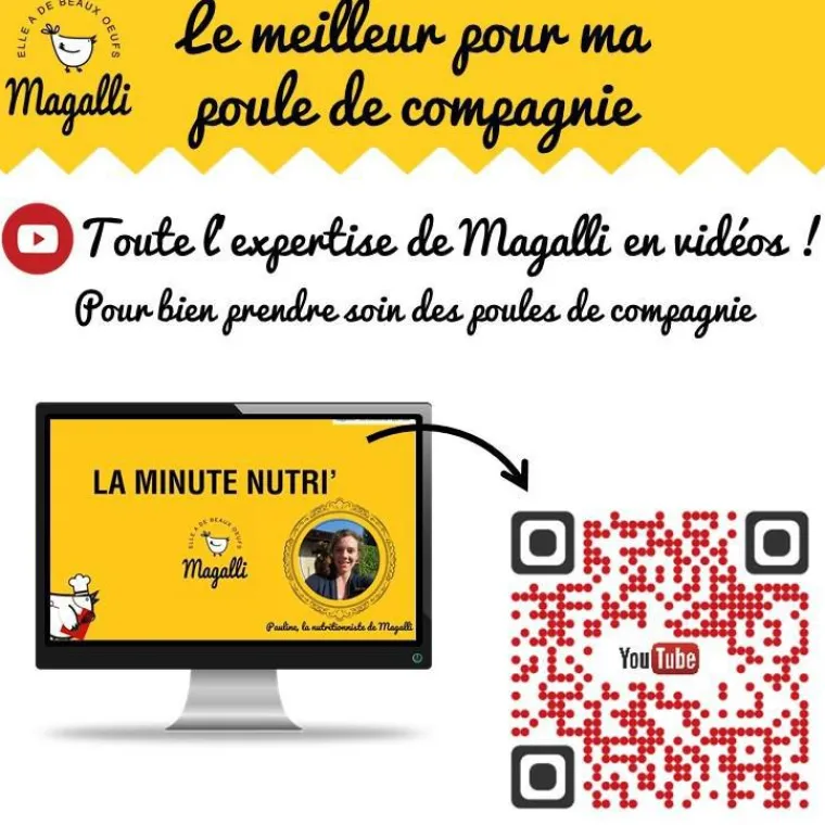 MAGALLI Aliment complet pour poule pondeuse Santé Plus en sac bleu de 4 kg