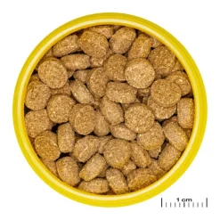 JBL Aliment en comprimés Pronovo crabs wafer M – 100 ml
