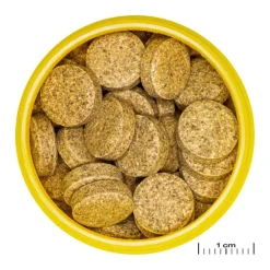 JBL Aliment en comprimés pour corydoras Pronovo Tab M – 100 ml
