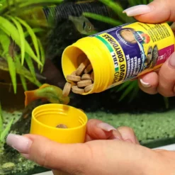 JBL Aliment en comprimés pour corydoras Pronovo Tab M – 100 ml