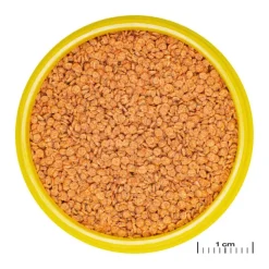 JBL Aliment en granules Pronovo betta grano S – 100 ml