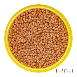 JBL Aliment en granulés Pronovo fantail grano S – 100 ml