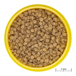 JBL Aliment en granulés Pronovo fantail grano M – 100 ml