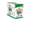 ROYAL CANIN Alimentation humide complète pour chien mature et senior de petite race et à partir de 8 ans en sauce Mini Ageing - 12 x 85 g