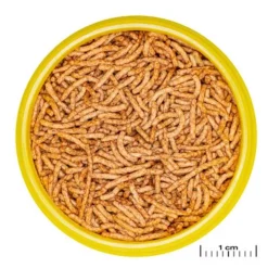 BLUE CORAL Alimentation poisson rouge insectes, JBL ProNovo Stick - 38g/100ml