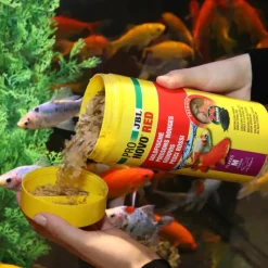JBL Alimentation pour poisson exotique Pro novo red