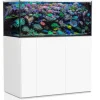 BLUE CORAL Aquarium 405 litres + meuble + filtration en verre