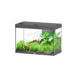 AQUATLANTIS Aquarium 146 litres équipé LED 2.0 et filtre Splendid chêne foncé - 80 x 40 x 56 cm