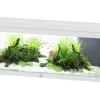 AQUATLANTIS Aquarium coloris blanc Prestige LED 2.0 170 L - 120 x 40 x 45 cm
