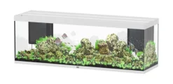 AQUATLANTIS Aquarium coloris blanc Sublime Ultra LED 2.0 675 L - 200 x 60 x 70 cm