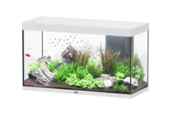 AQUATLANTIS Aquarium coloris blanc Sublime Ultra LED 2.0 333 L - 120 x 50 x 70 cm