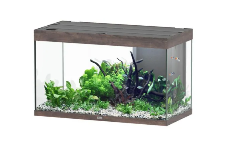 AQUATLANTIS Aquarium coloris chêne foncé Sublime Ultra LED 2.0 245 L - 100 x 50 x 60 cm
