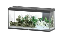 AQUATLANTIS Aquarium coloris chêne foncé Sublime Ultra LED 2.0 419 L - 150 x 50 x 70 cm