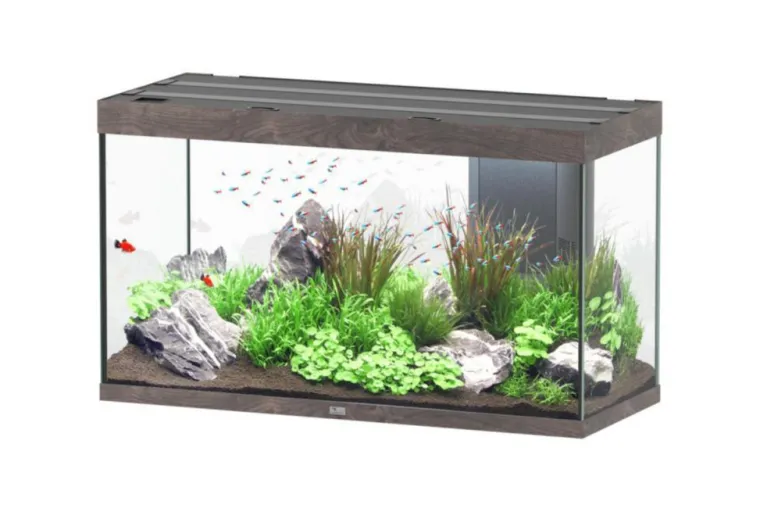 AQUATLANTIS Aquarium coloris chêne foncé Sublime Ultra LED 2.0 333 L - 120 x 50 x 70 cm