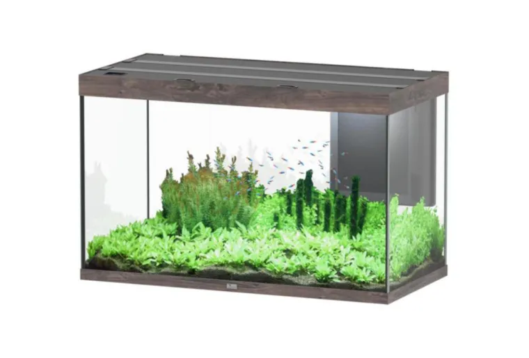 AQUATLANTIS Aquarium coloris chêne foncé Sublime Ultra LED 2.0 419 L - 150 x 50 x 70 cm