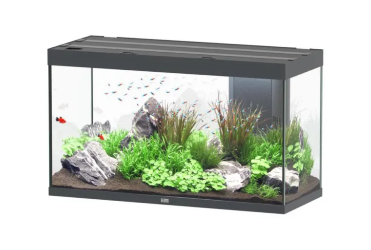 AQUATLANTIS Aquarium coloris gris Sublime Ultra LED 2.0 333 L - 120 x 50 x 70 cm
