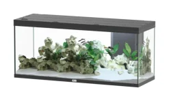 AQUATLANTIS Aquarium coloris noir Volga LED 2.0 450 L - 152 x 52 x 67 cm