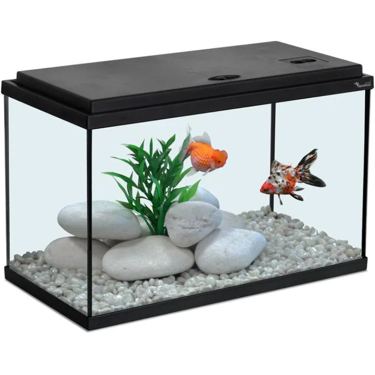 AQUATLANTIS Aquarium coloris noir 20L - 40 x 20 x 25 cm