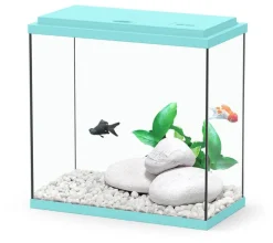 AQUATLANTIS Aquarium Coralia avec filtre coloris turquoise - 18 L