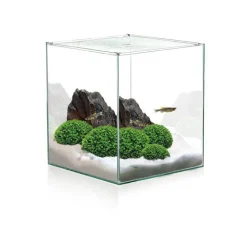 CIANO Aquarium cuve nue Cube - 18L