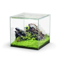 AQUATLANTIS Aquarium cuve nue Kubus - 54L