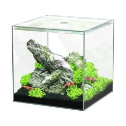 AQUATLANTIS Aquarium cuve nue Kubus - 15L