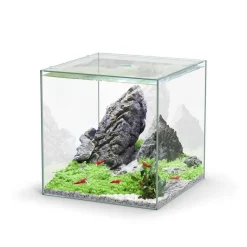 AQUATLANTIS Aquarium cuve nue Kubus - 33L
