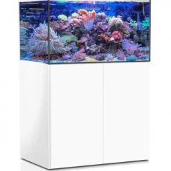 BLUE CORAL Aquarium de 325 litres avec son meuble et sa cuve de filtration d'un volume de 55 litres