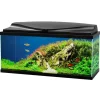 CIANO Aquarium d'eau douce complet coloris noir Aqua 80 LED 71 L