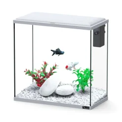 AQUATLANTIS Aquarium d'eau froide et d'eau douce coloris gris Explorer Dublin - H 40 x P 20 x L 40 cm