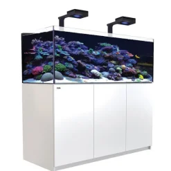 RED SEA Aquarium eau de mer avec un meuble coloris blanc Reefer™ Deluxe XL 525 - 150 x 57,5 x 142 cm