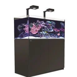 RED SEA Aquarium eau de mer avec un meuble coloris noir certifié FSC® Reefer™ Deluxe XL 425 - 120 x 57,5 x 142 cm