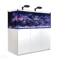 RED SEA Aquarium eau de mer avec un meuble coloris blanc Reefer™ Deluxe XXL 625 - 150 x 65 x 148 cm