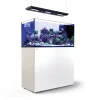 RED SEA Aquarium eau de mer avec un meuble coloris blanc Reefer™ Peninsula Deluxe P500 - 125 x 60 x 160 cm