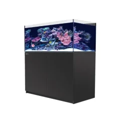 RED SEA Aquarium eau de mer avec un meuble coloris noir Reefer™ XL 425 - 120 x 57,5 x 142 cm