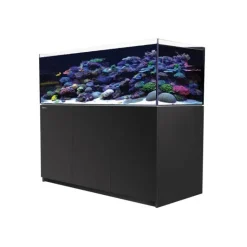 RED SEA Aquarium eau de mer avec un meuble coloris noir Reefer™ XL 525 - 150 x 57,5 x 142 cm
