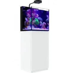 BLUE CORAL Aquarium marin Cube G2 Nano + meuble blanc, RED SEA AQUARIUM - modèle Max