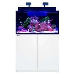 BLUE CORAL Aquarium marin Max Nano G2 XXL + Meuble Blanc - RED SEA AQUARIUM - 200L