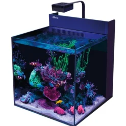 BLUE CORAL Aquarium marin Max Nano G2 XL - RED SEA
