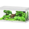 AQUATLANTIS Aquarium Prestige 80 coloris blanc Auxine - 85 L