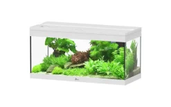 AQUATLANTIS Aquarium Prestige 80 coloris blanc Auxine - 85 L
