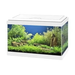CIANO Aquarium équipé Aqua 20 light blanc - 17L