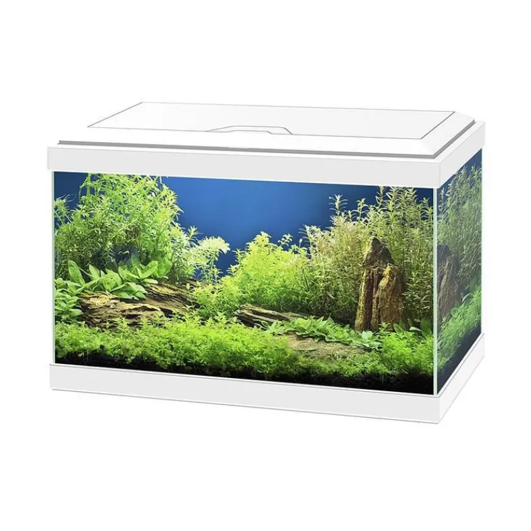 CIANO Aquarium équipé Aqua 20 light blanc - 17L