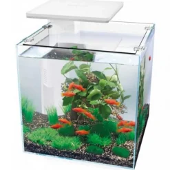 SUPERFISH Aquarium équipé blanc, Qubiq 30 PRO - 30L