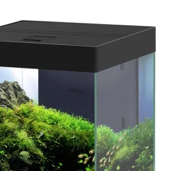 CIANO Aquarium équipé Emotions Pro 40 noir 52 L - 40 x 40 x 43 cm